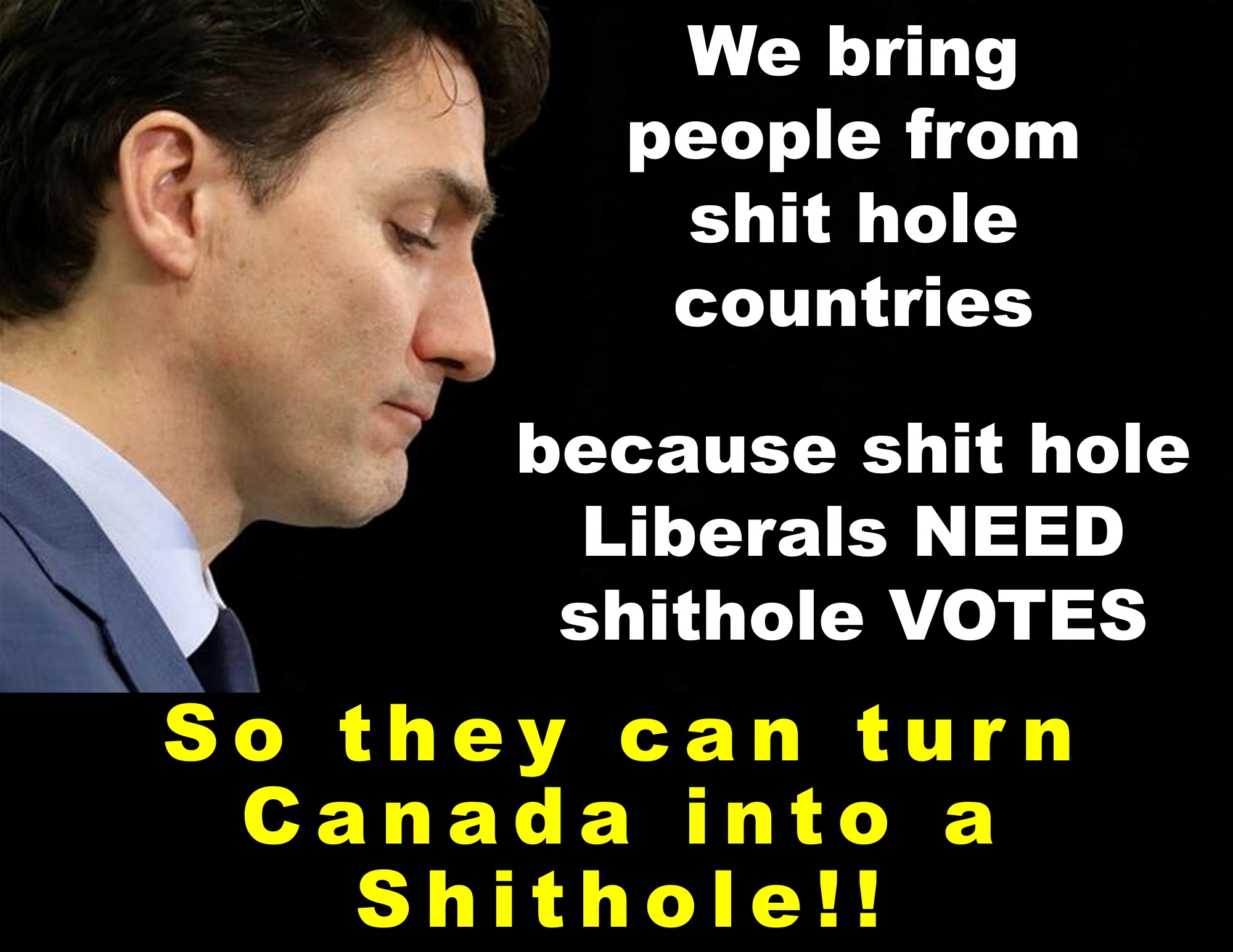 We bring people from s-hole countries so they can turn Canada into a s-hole